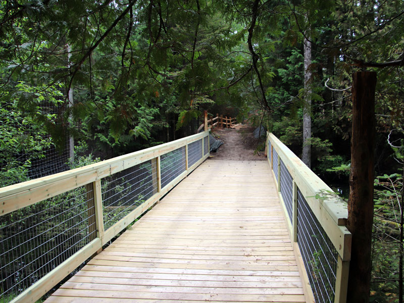  Bridge over Koi pond to enjoy swans and ducks at GarLyn Zoo